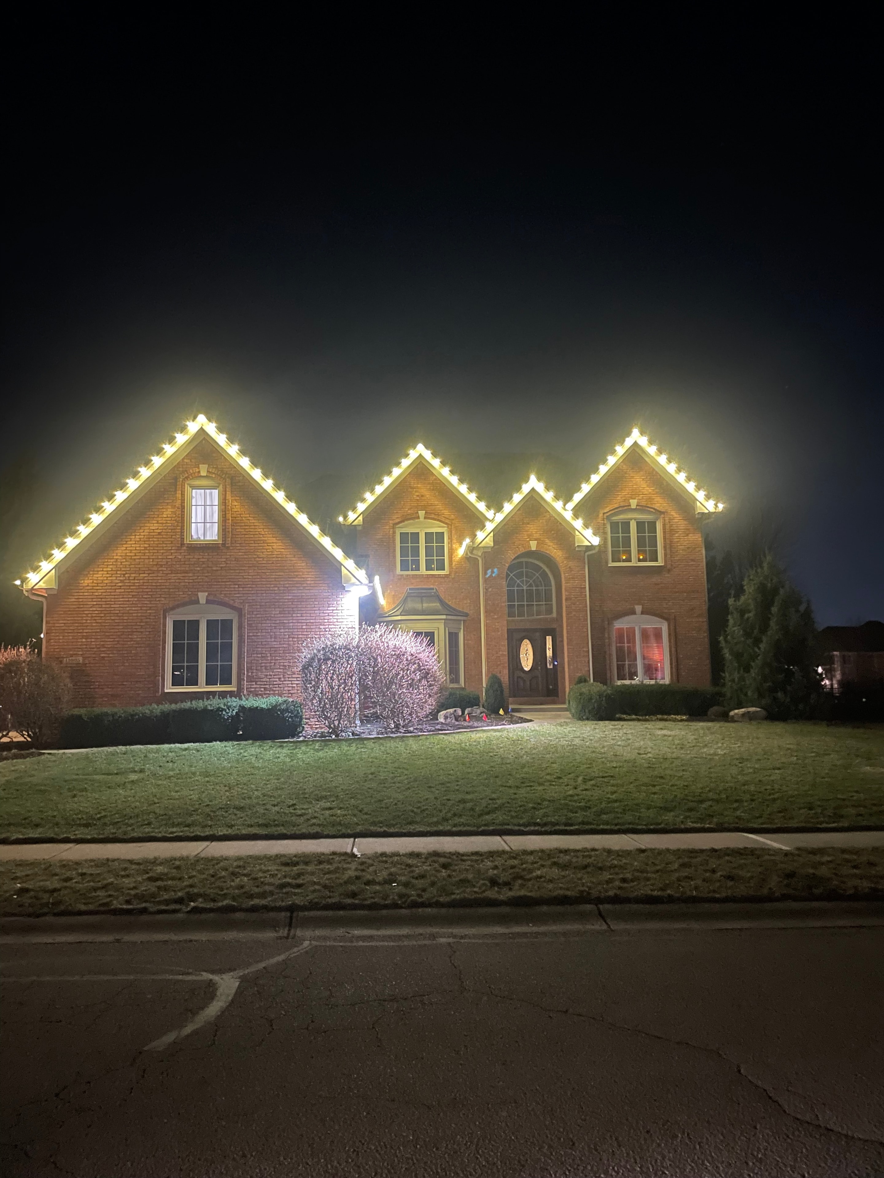 Outdoor Christmas tree and yard decorations with lights