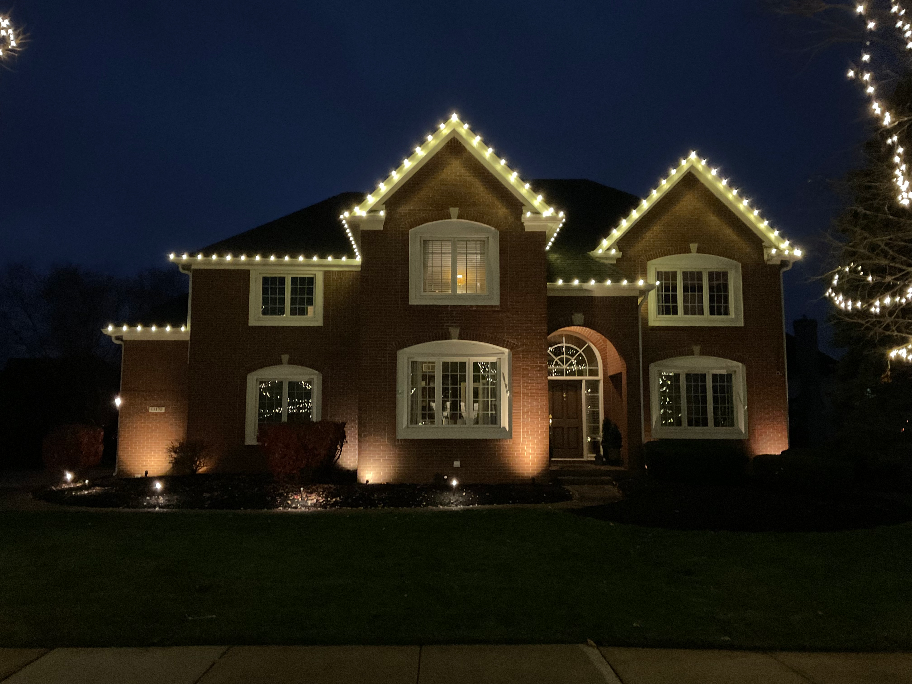 Featured landscape lighting project