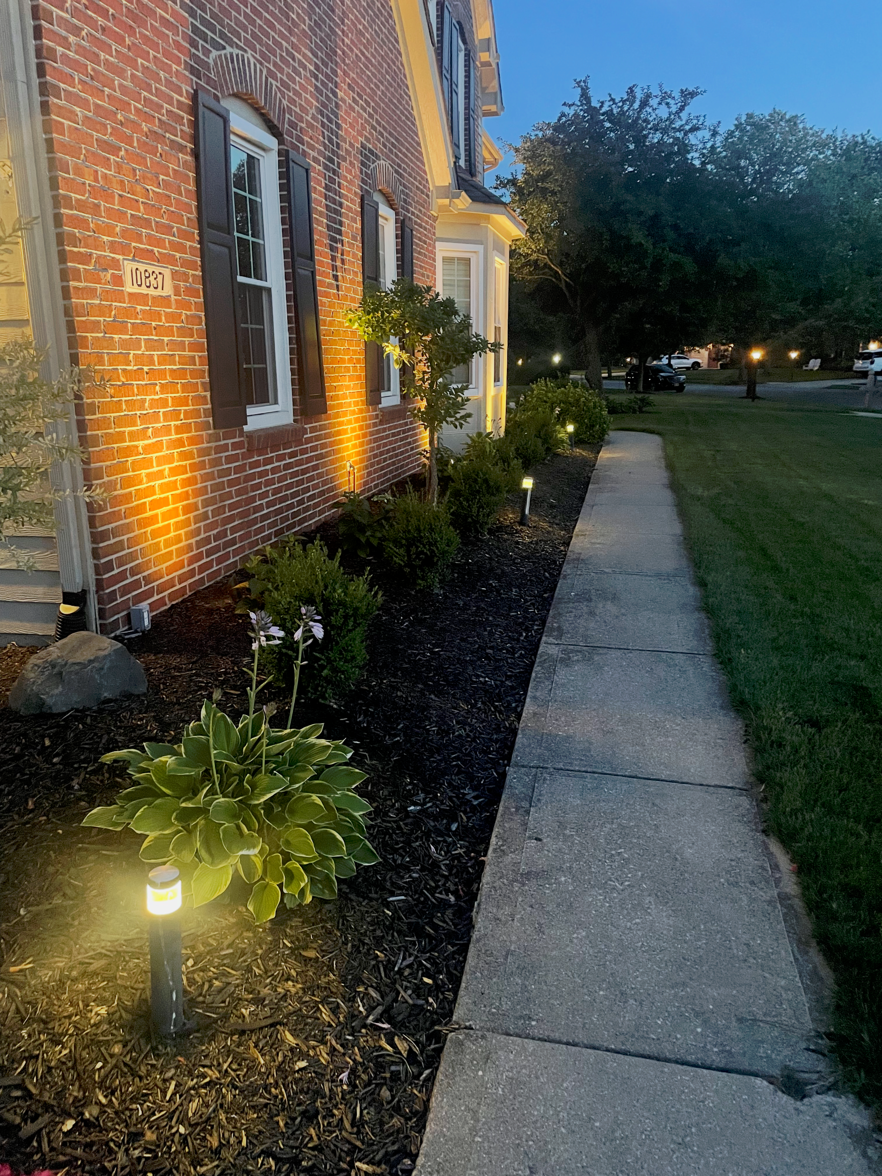 Professional outdoor lighting installation along a home pathway
